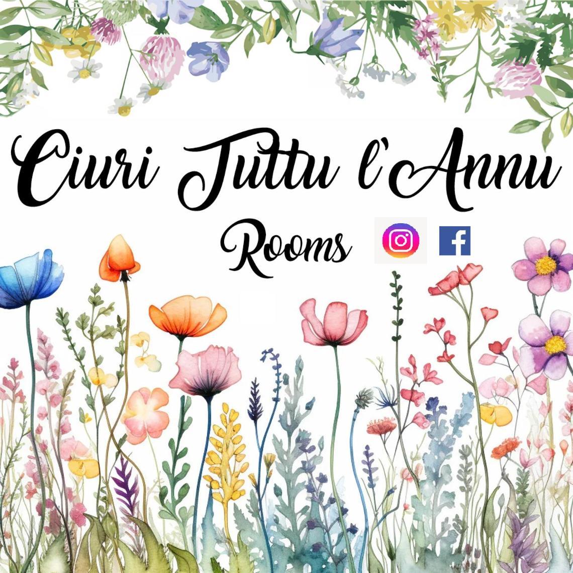 קטאניה Ciuri Tuttu L'Annu Rooms מראה חיצוני תמונה